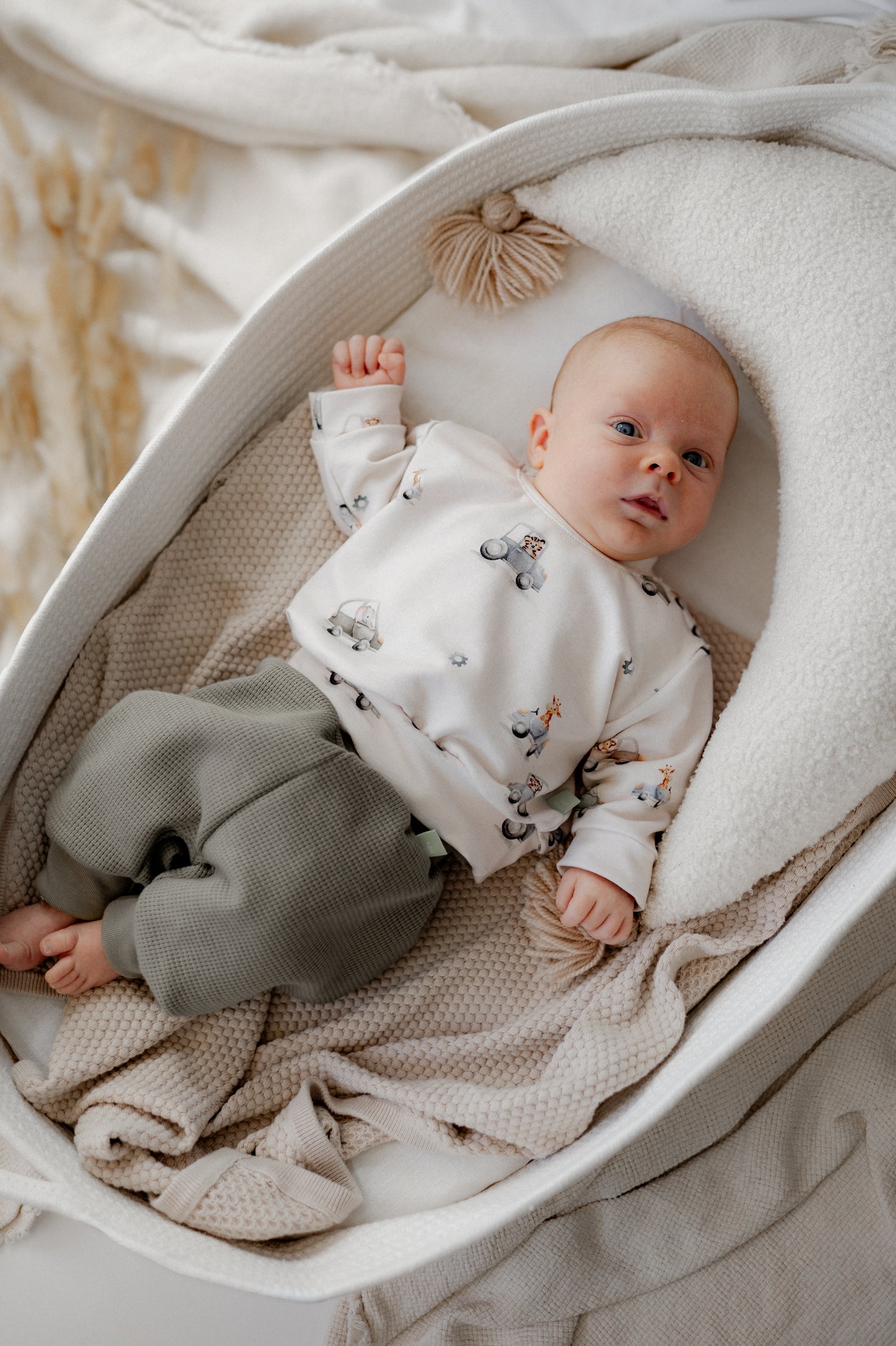 Baby Set Autos – Oversize Pulli in Olive und Pumphose