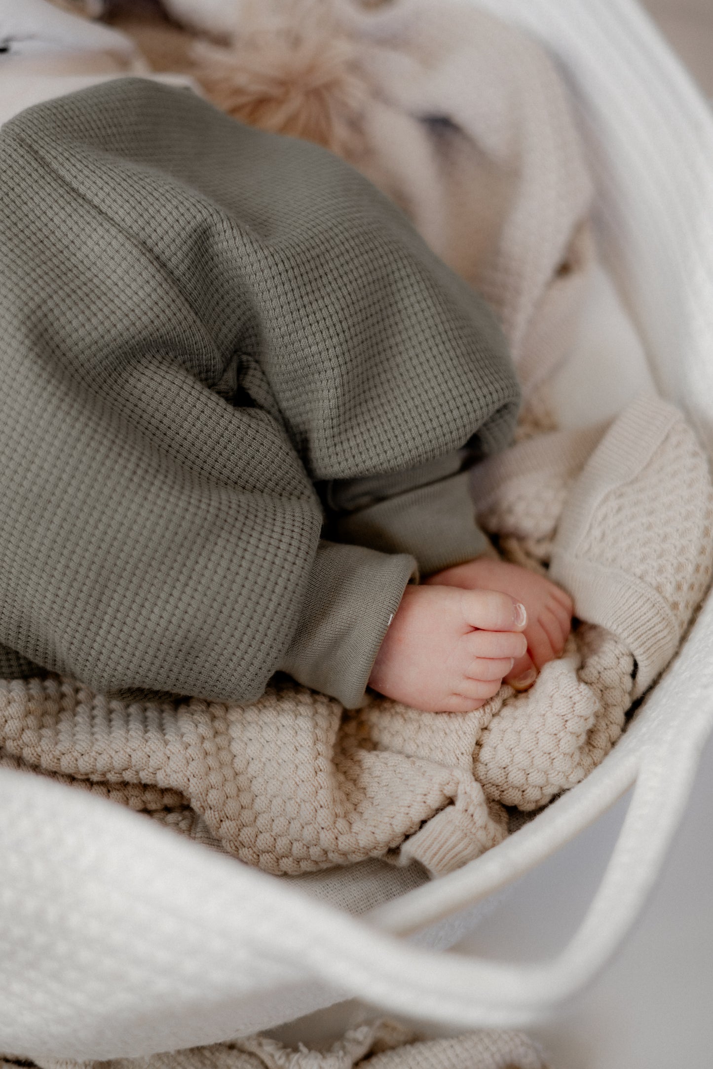 Baby Set Autos – Oversize Pulli in Olive und Pumphose